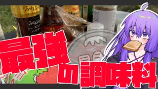 【検証】ポテトに合う最強の調味料を決めよう【ワンコイン娯楽】