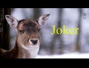JOKER feat. Yoru. 【Official Music Video】