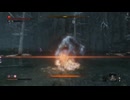 sc^イカれた生放送(SEKIRO)　６－５