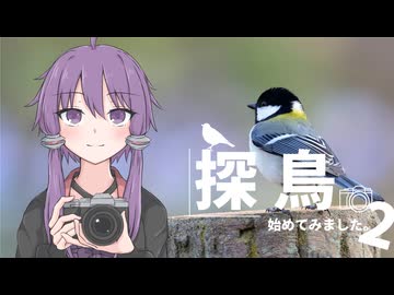 探鳥始めてみました。2