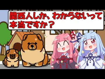 【第五回10秒動画祭】関西人しかわからないチャウチャウ犬の話