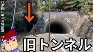 シカとトンネルと私編。【バーチャルいいゲーマー佳作選】
