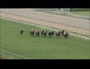 2013 エプソムカップ(GIII)　クラレント