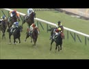 2015 エプソムカップ(GIII)　エイシンヒカリ