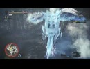 【MHW:IceBorne】#144