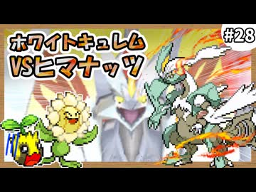 【実況】ヒマナッツがひんしになる度に『現実で向日葵を育てる』縛り #28（BW2版）