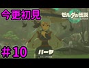 カカリコ村【ゼルダの伝説 ティアーズ オブ ザ キングダム】Part10