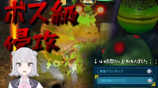 【ピクミン4】#14 最後の夜探索とダンドリチャレンジプラチナ回収【ボイスピ実況】