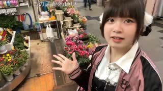 らん© (2025/2/15) 空腹怪獣らん散歩