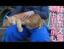 街の名物ボス猫、単独部屋で甘え倒す