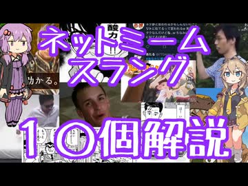 今さら人に聞けないネットのネタ解説その24【結月ゆかり×春日部つむぎ】