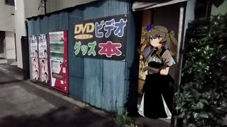 適当夜ツー3