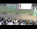 第45回ダイヤモンドカップ（カフェファラオ賞） シーソーゲーム