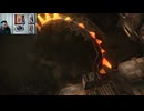 FF13-743