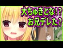 【ハミダシクリエイティブ】490　一線を越えかける兄妹のイチャイチャを阻止する有能な存在に殺意と敬意を抱いた