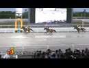 第25回名古屋グランプリ サンライズジパング