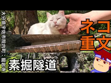 ネコとトンネルと奥の院と石橋と私編。【バーチャルいいゲーマー佳作選】