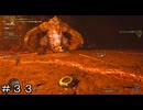 【MHWs】グラビモス初狩猟！ ＃３３【モンスターハンターワイルズ】