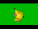 360°猫ミーム素材