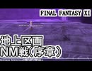 【FF11】ソーティ地上区画ＮＭの掃討に挑む！（序章）／女神数戦／オデシー＿＿カッパのヴァナ・ディール生活