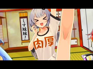 【しす短短！】Y字バランスは蹴りではない