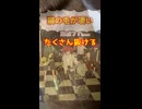 猫の毛/重音テト、デフォ子、桃音モモ、和音マコ