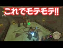 ゼルダの伝説　ティアーズ オブ ザ キングダム　実況プレイPart367