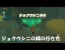 #183【ゼルダの伝説 ティアーズ オブ ザ キングダム】ジョクウシニの祠へはこう行く！