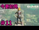 忍びスーツを求めて【ゼルダの伝説 ティアーズ オブ ザ キングダム】Part11