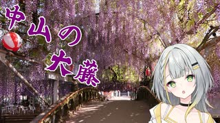 【ソフトウェアトーク旅行】金の畑と紫の園
