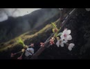 夜紗 - 葉桜と口笛 / feat. 初音ミク