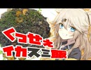 にんにくイカスミ飯だもんに！つむぎとひまり