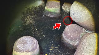 テトラポッドの隙間から大量の高級食材が獲れた