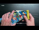 【開封】ロックマンエグゼを懐かしむ【GBA】