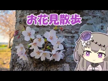 【お散歩】ある晴れた春の日曜日