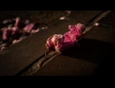【GarageBand】Where are you ?2025