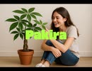 Pakira
