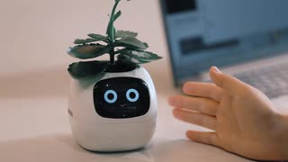 □ 植物に水をあげ、話しかけるスマートプランター □