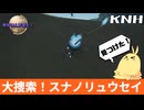 【MHWilds】ゆかりんが来た！　砂原に輝く流星の謎を追え！