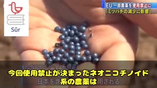 EUが禁止した農薬「ネオニコチノイド」 まだ日本では使用中