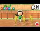 【実況】あつまれどうぶつの森を遊ぶいも【#43】