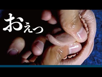お口の中を... /// 揉みほぐし ASMR (倍速ver)
