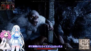 Dark and Darker へぼ忍者でも宝探ししたい その５１【めた雪実況】
