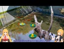 屋外金魚水槽14　とくになにもありませんでした