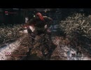 sc^イカれた生放送(SEKIRO)　９－８