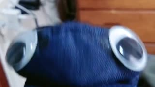 弁解