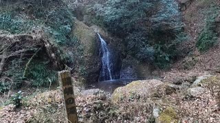 【Vストローム250SX】全面舗装で快適！和泉市の林道「側川槙尾山線」から人智開明の滝へプチツーリング！