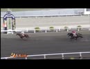2025年5月10日高知競馬3R ＪＢＣ協会協賛高知佐賀スタリオンシリーズ 春野特別（ヴァンゴッホ賞）(準重賞) サンライズグリット
