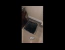 【恐怖映像】インターネット、SNSに投稿された恐怖映像上にSCARY TikTok Videos