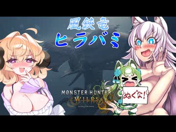 スラアク使いの狼ちゃんとカミンズが駆け抜ける！ワイルズPart11【MHWilds】